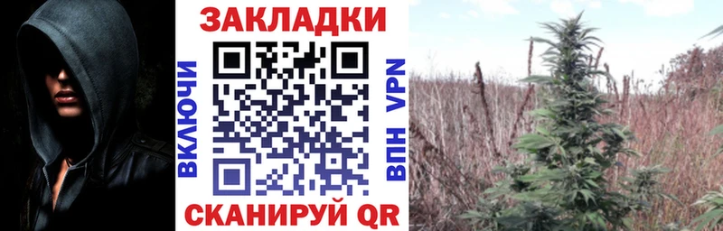 Галлюциногенные грибы Новомичуринск