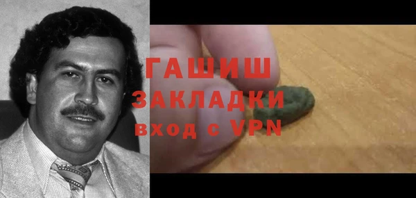 стаф Алзамай